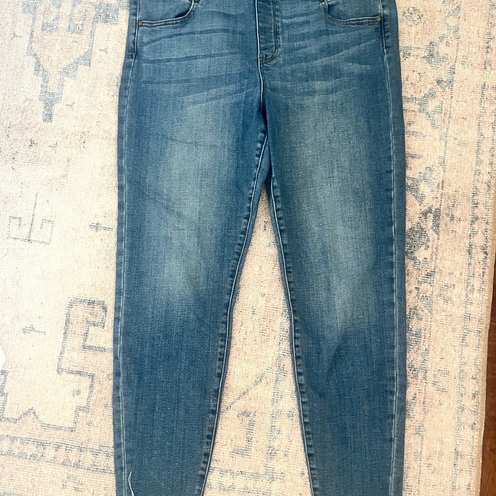 Liverpool Women's Skinny Jeans in Classic Blue